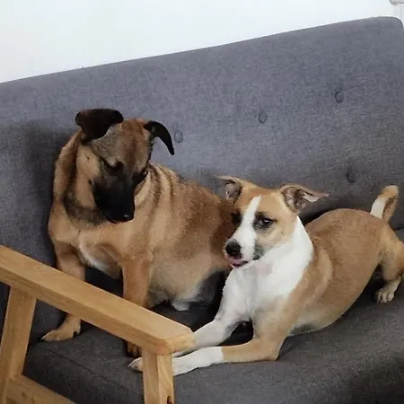 Apartment Lublana Apartment *